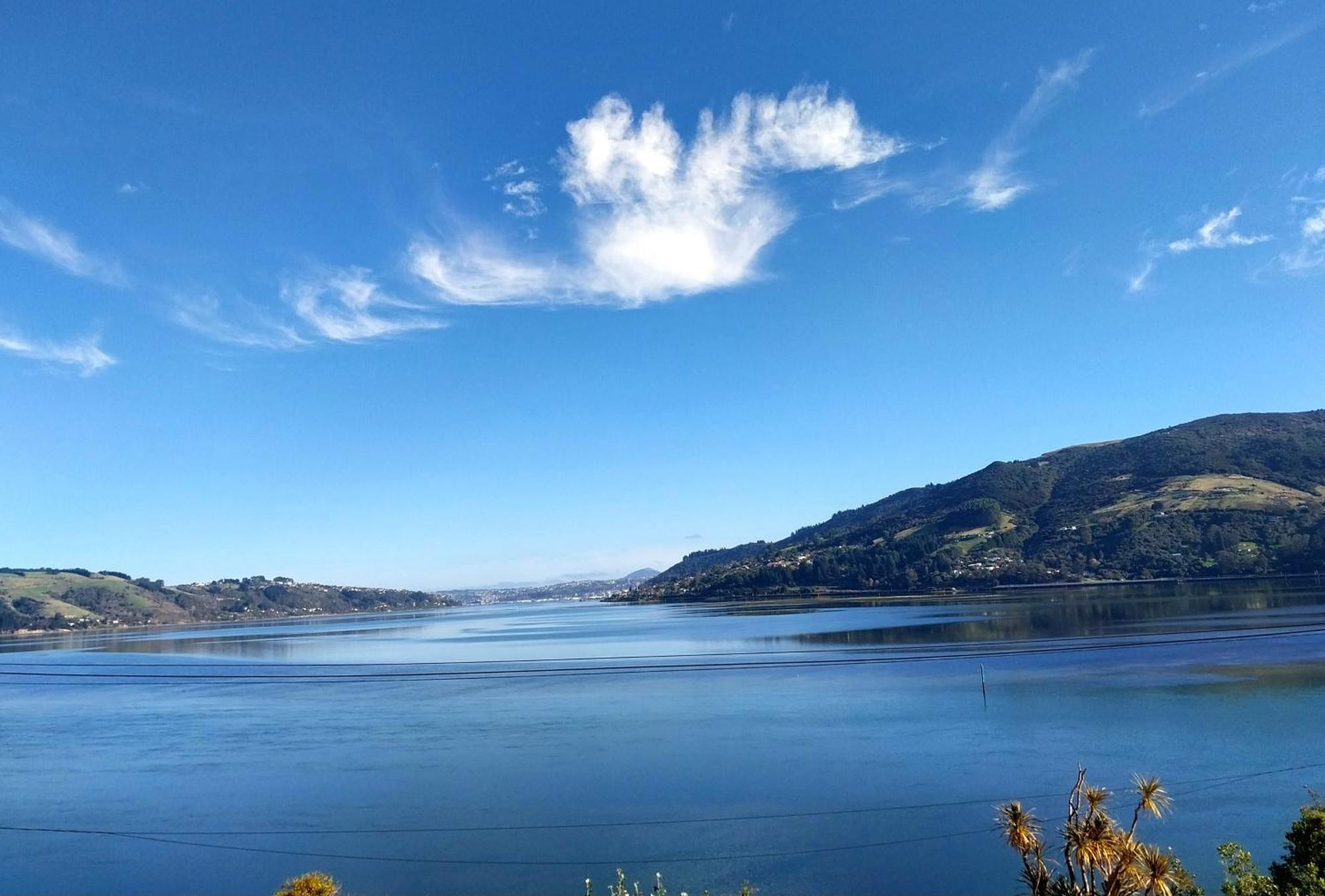 The Views Hotel Dunedin Bagian luar foto